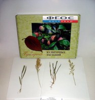 Гербарий "Культурные растения" (28 видов) - fgospostavki.ru - Ейск