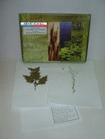 Гербарий "Сорные растения" (24 вида) - fgospostavki.ru - Ейск