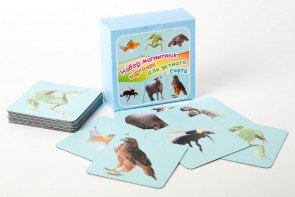 Набор магнитных карточек "Устный счет" (фон голубой) - fgospostavki.ru - Ейск