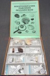 Коллекция "Многообразие раковин моллюсков" - fgospostavki.ru - Ейск