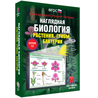 Наглядная биология. 6 класс. Растения. Грибы. Бактерии - fgospostavki.ru - Ейск