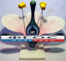 Модель "Цветок яблони" - fgospostavki.ru - Ейск