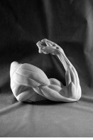 Рука согнутая в локте (гипс) - fgospostavki.ru - Ейск