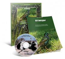 Электронное наглядное пособие «Птицы» - fgospostavki.ru - Ейск