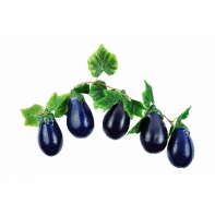 Ветка муляжей "Баклажаны" - fgospostavki.ru - Ейск