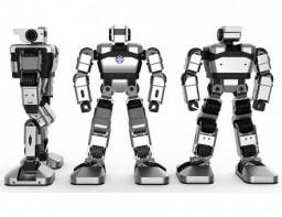 Образовательная платформа для обучения программирования гуманоидный робот Yanshee - fgospostavki.ru - Ейск