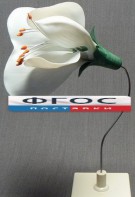 Модель "Цветок гороха" - fgospostavki.ru - Ейск