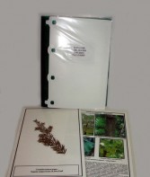 Гербарий "Эволюция высших растений" (ламинированный) - fgospostavki.ru - Ейск