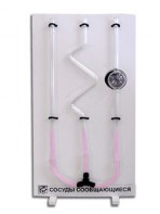 Сосуды сообщающиеся (вариант 2) - fgospostavki.ru - Ейск