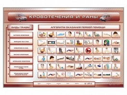 Трехсекционный базовый комплект "Травмы. Кровотечения. Ожоги" для учащихся общеобразовательных учреждений - fgospostavki.ru - Ейск