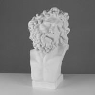 Бюст Лаокоона (гипс) - fgospostavki.ru - Ейск