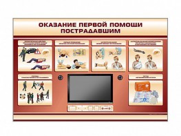 Многофункциональный интерактивный стенд-тренажер "Оказание первой помощи пострадавшим" для учащихся общеобразовательных учреждений - fgospostavki.ru - Ейск
