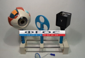 Модель "Зрение" (на батарейках) - fgospostavki.ru - Ейск