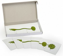 Модель-аппликация "Роль ядра в регуляции развития организма" (набор из 8 карт) - fgospostavki.ru - Ейск