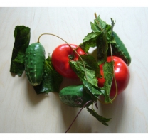 Ветка муляжей "Ассорти" (овощи) - fgospostavki.ru - Ейск