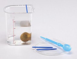 Сосуд Архимеда - fgospostavki.ru - Ейск