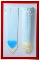 Барельефная модель "Клеточное строение корня" - fgospostavki.ru - Ейск