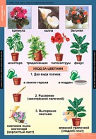 Комплект таблиц. Окружающий мир 1 класс. - fgospostavki.ru - Ейск