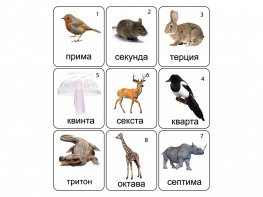 Набор магнитных карточек по музыке "Животные" (9 штук) - fgospostavki.ru - Ейск