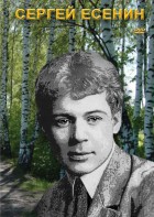 DVD "Сергей Есенин" - fgospostavki.ru - Ейск