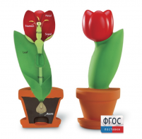 Модель цветка - fgospostavki.ru - Ейск