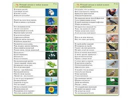 Комплект карточек (10) "Обучающий калейдоскоп. Природа" - fgospostavki.ru - Ейск