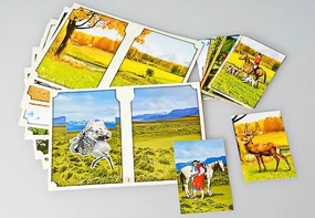 Настольно-печатная игра "Вокруг света" - fgospostavki.ru - Ейск