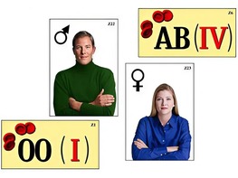 Модель-аппликация "Генетика групп крови" (ламинированная) - fgospostavki.ru - Ейск