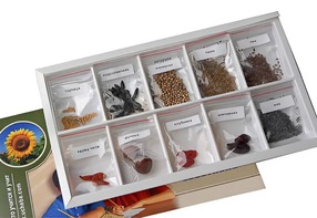 Коллекция "Плоды сельскохозяйственных растений" - fgospostavki.ru - Ейск