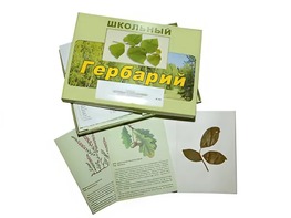 Гербарий "Дикорастущие растения" (30 видов, с иллюстрациями) - fgospostavki.ru - Ейск