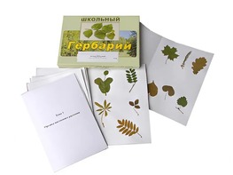 Гербарий "Морфология растений" (6 тем, 30 видов) - fgospostavki.ru - Ейск