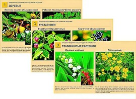 Гербарий фотографический "Ядовитые растения" - fgospostavki.ru - Ейск