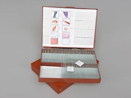 Комплект микропрепаратов "Общая биология" - fgospostavki.ru - Ейск