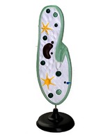 Модель инфузории-туфельки - fgospostavki.ru - Ейск