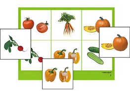 Логопедическое лото "Овощи" (4 планшета, 24 карточки, цветное, ламинированное) - fgospostavki.ru - Ейск