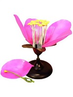 Модель цветка яблони - fgospostavki.ru - Ейск