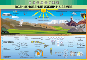 Таблица "Возникновение жизни на земле" (100х140 сантиметров, винил) - fgospostavki.ru - Ейск