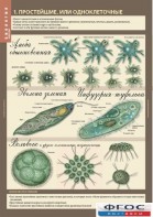 Комплект таблиц. Биология 7 класс. Животные. - fgospostavki.ru - Ейск