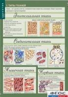 Комплект таблиц. Биология 8-9 класс. Человек. - fgospostavki.ru - Ейск