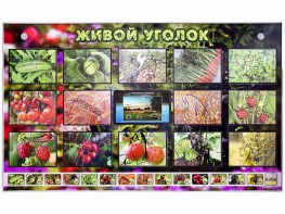 Комплект оборудования "Живой уголок" (растения) с тифлопереводом и сурдокомментариями - fgospostavki.ru - Ейск