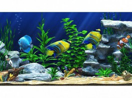 Интерактивный аттракционный комплекс "Водный мир" - fgospostavki.ru - Ейск