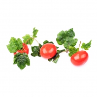 Ветка муляжей "Помидоры" - fgospostavki.ru - Ейск