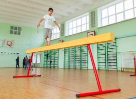 Бревно гимнастическое напольное постоянной высоты (700 мм) (5 м) - fgospostavki.ru - Ейск