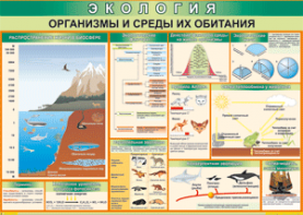 Таблица "Организмы и среды их обитания" (100х140 сантиметров, винил) - fgospostavki.ru - Ейск