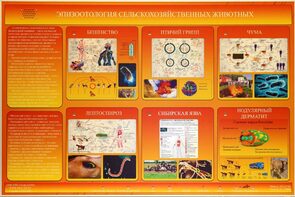 Электрифицированный стенд «Эпизоотология сельскохозяйственных животных» - fgospostavki.ru - Ейск