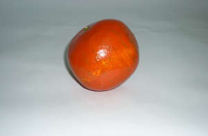 Муляж "Гранат" - fgospostavki.ru - Ейск