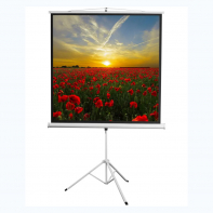 Экран на штативе DSKD-1105  - fgospostavki.ru - Ейск