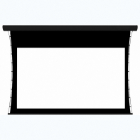 Экран настенный с электроприводом DSTPX-16915 - fgospostavki.ru - Ейск