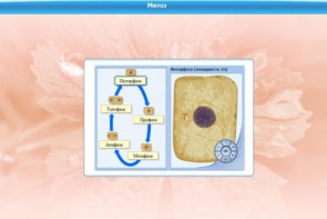 Интерактивные курсы. Биология 6 класс. Базовый - fgospostavki.ru - Ейск