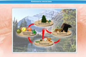 Интерактивные курсы. Биология 7 класс. Базовый. - fgospostavki.ru - Ейск